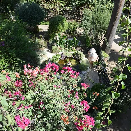 Double Bed & Breakfast Nicosia